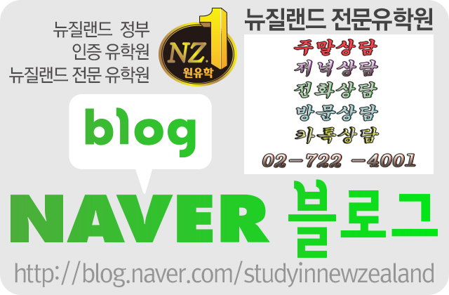 네이버 블로그